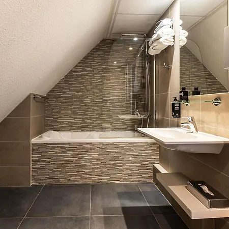 Ibis Styles Lille D'ascq Hotel 3*